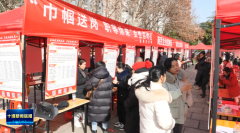 设置了企业聘请区、“技术出息”就业创业培训